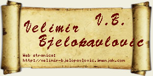 Velimir Bjelopavlović vizit kartica